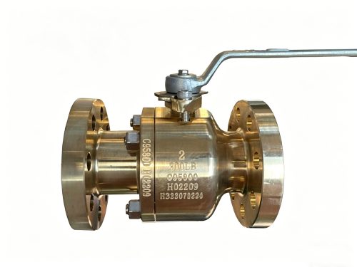 DN50-2″-Class-300-C95800-Ni-Al-Bronze-Flanged-Floating-Ball-Valve-Lever-Handle-for-Marine-Corrosive-Media-BL357601-1
