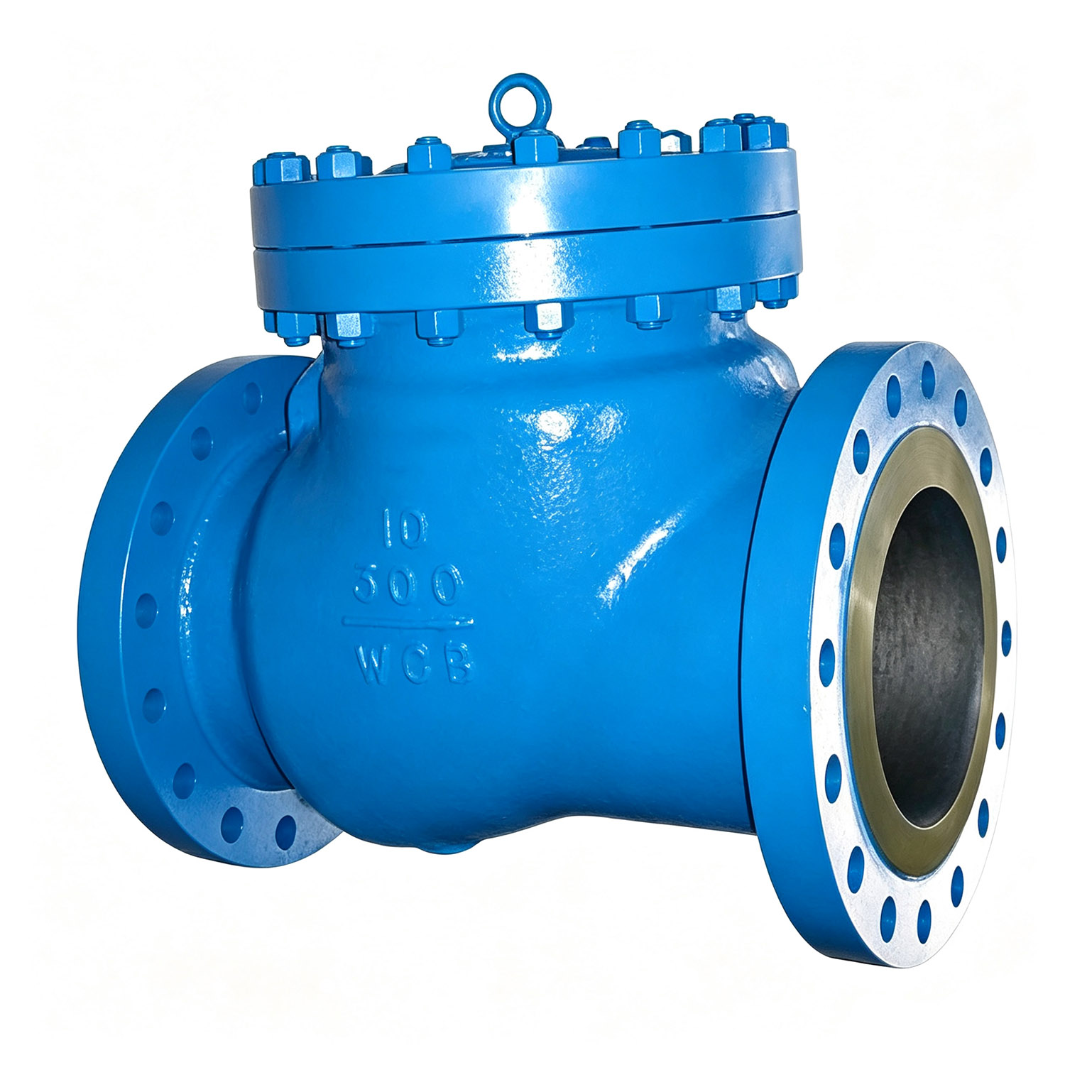 DN250 Class 300 ASTM A216 WCB Flanged Swing Check Valve
