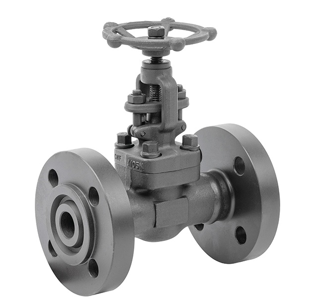 Forged steel globe valves.